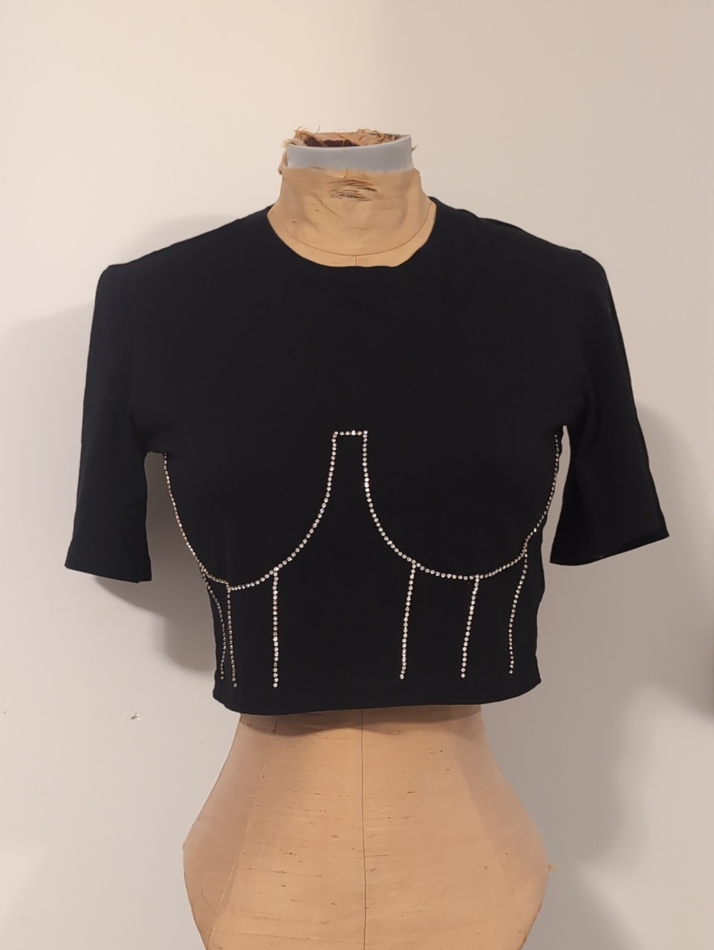 Sandro Rhinestone Crop Top